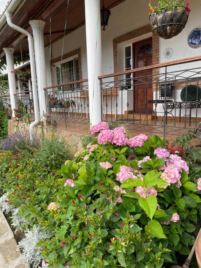 Country Club La Mesteceni Sebeş Екстериор снимка